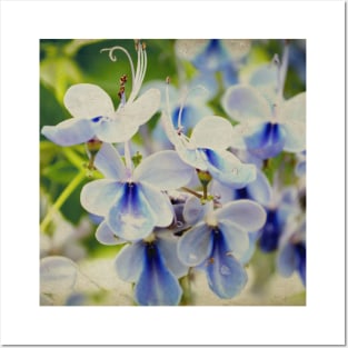 Unique Blue Flower with green leaves nature lovers beautiful photography design Posters and Art